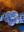Schürze Hirsch im Rahmen Blau ohne Fuchsschweif